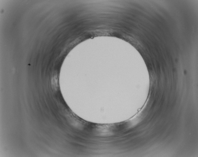 X0000067920190200605112018