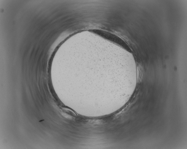 X0000067920195200605112017