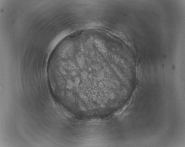 X0000067920196200605112017