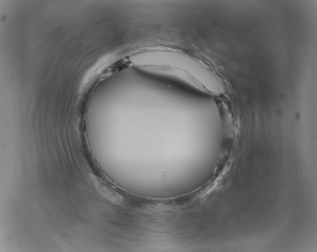 X0000067920197200605112017