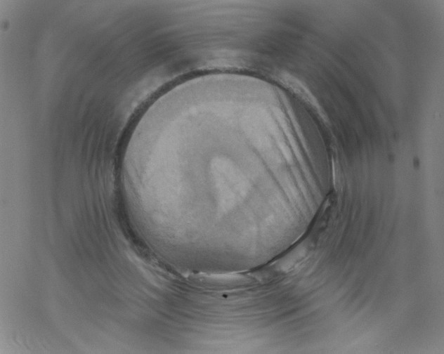 X0000067920204200605112017