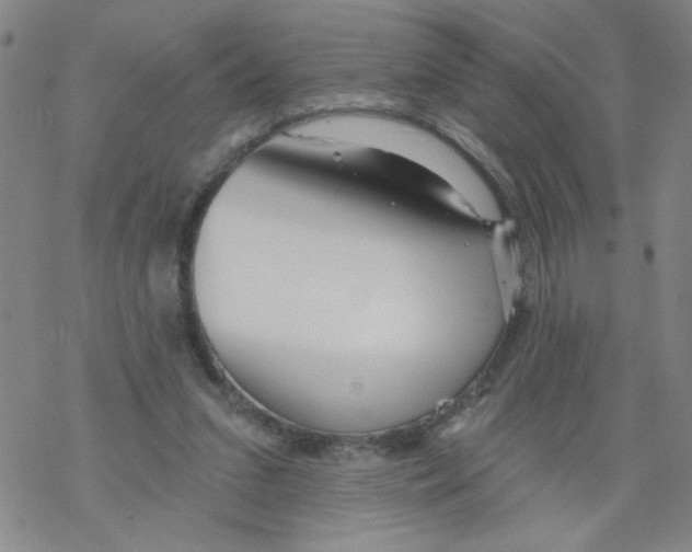 X0000067920207200605112017