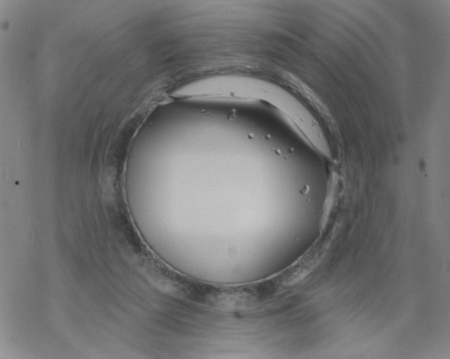 X0000067920209200605112017