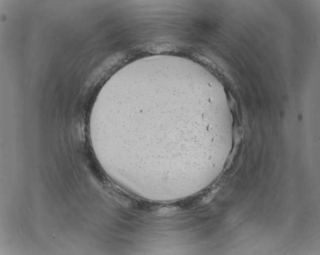 X0000067920210200605112017