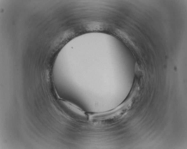 X0000067920211200605112017