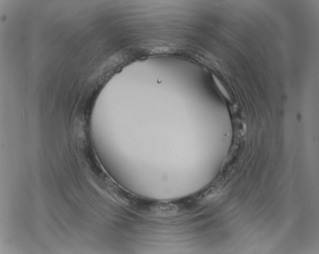 X0000067920215200605112017