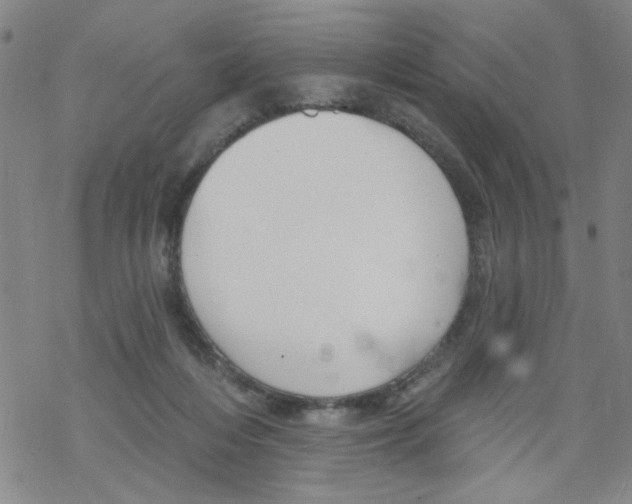 X0000067920216200605112017