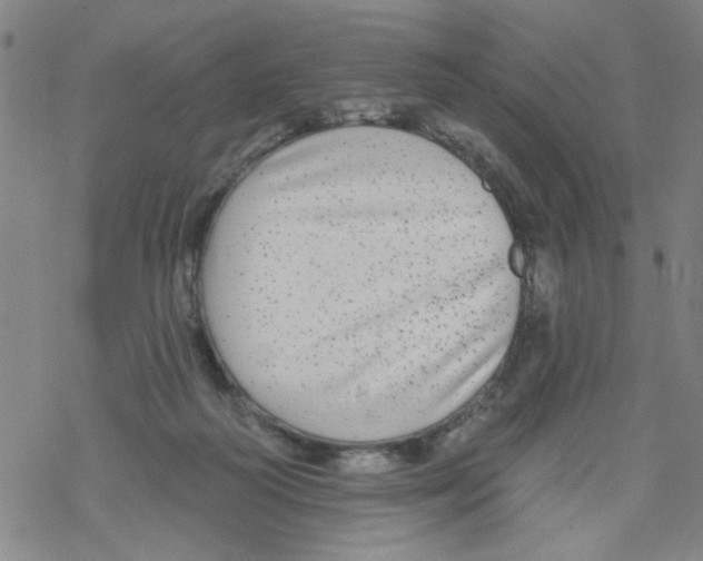 X0000067920218200605112017