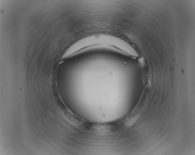 X0000067920221200605112017