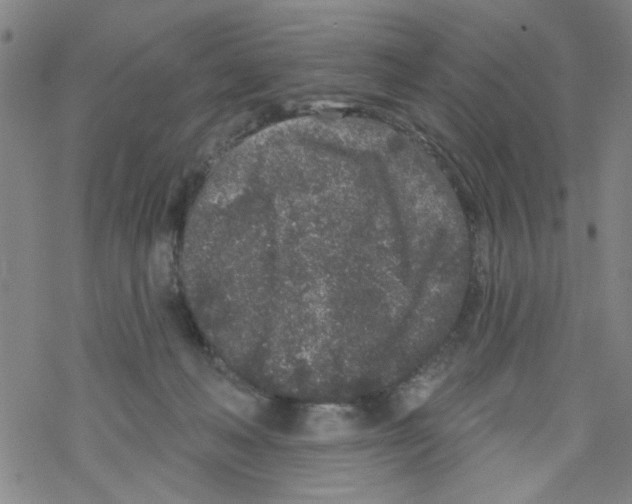 X0000067920222200605112016