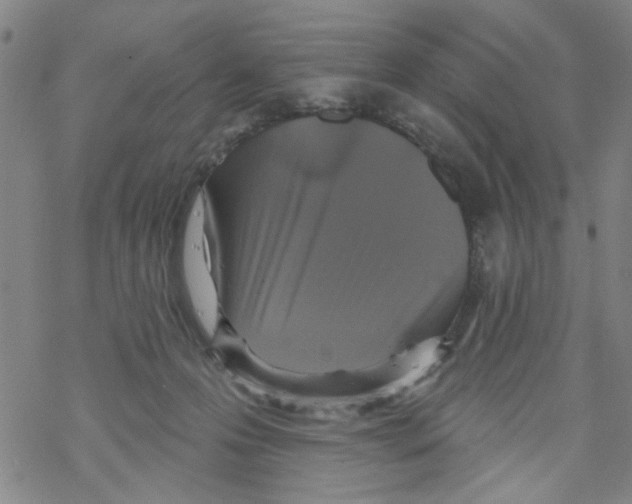 X0000067920223200605112016