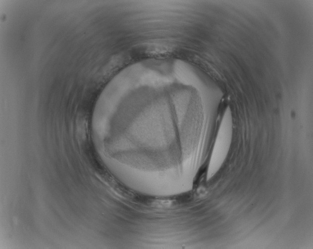 X0000067920227200605112016