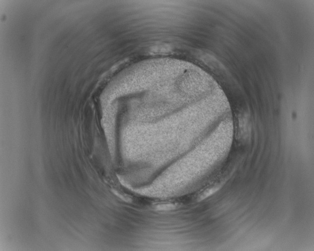 X0000067920228200605112016