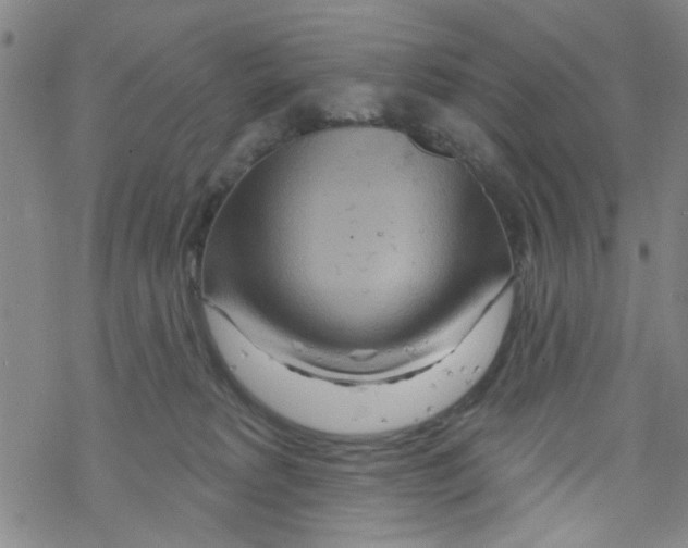 X0000067920229200605112016