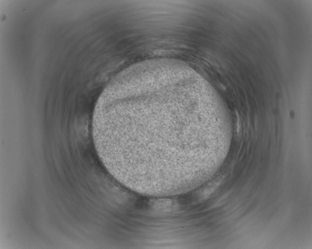 X0000067920230200605112016