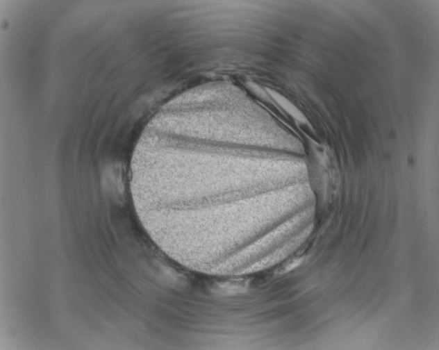 X0000067920232200605112016