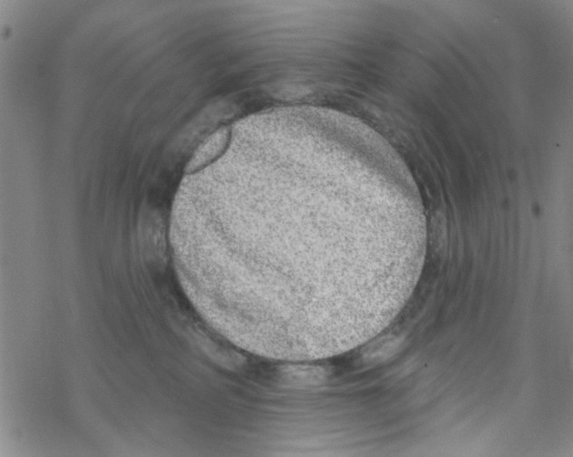 X0000067920234200605112016