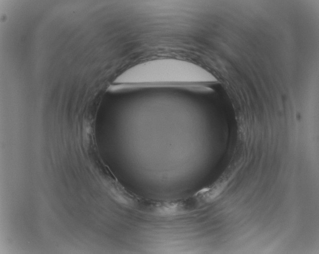 X0000067920235200605112016