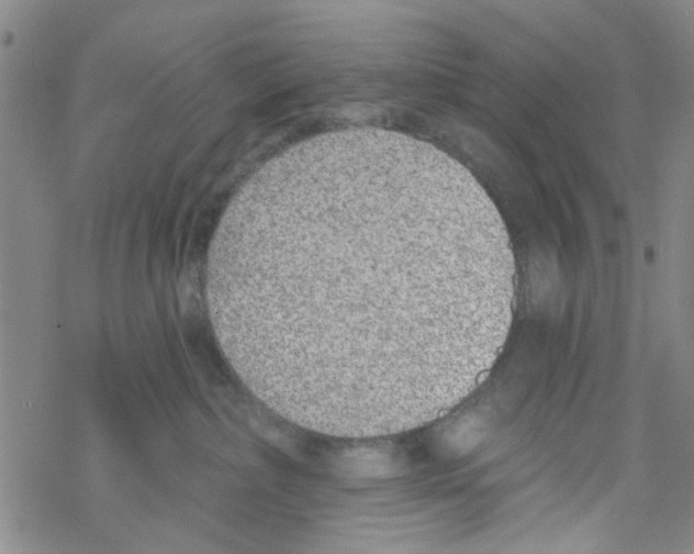 X0000067920236200605112016