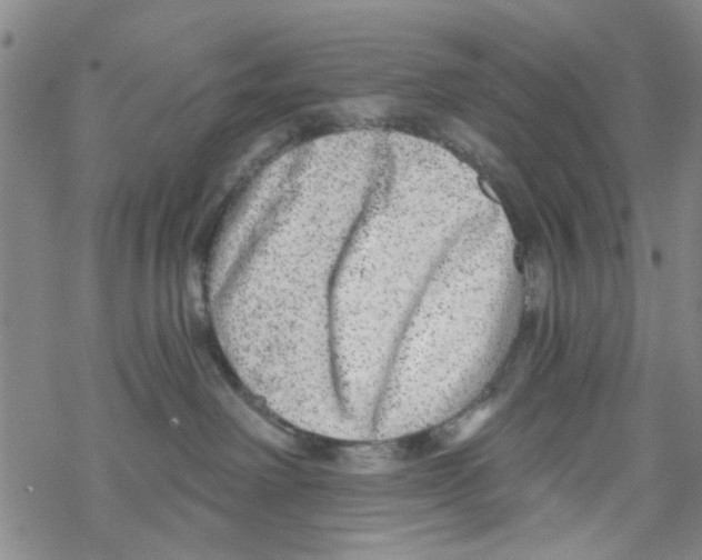 X0000067920238200605112016