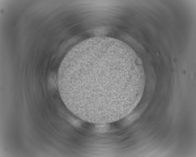 X0000067920240200605112016