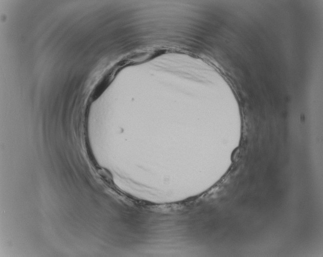 X0000067920241200605112015