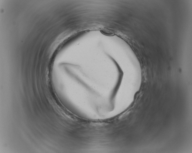 X0000067920242200605112015