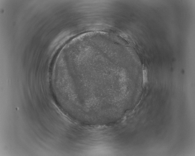 X0000067920243200605112015