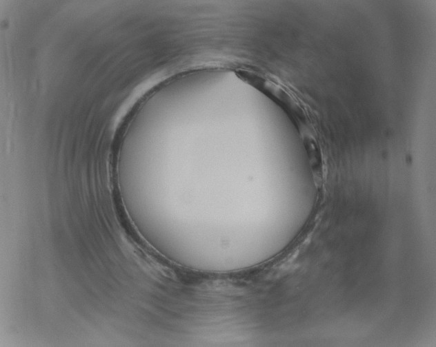 X0000067920244200605112015