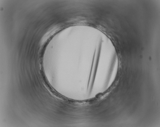 X0000067920245200605112015