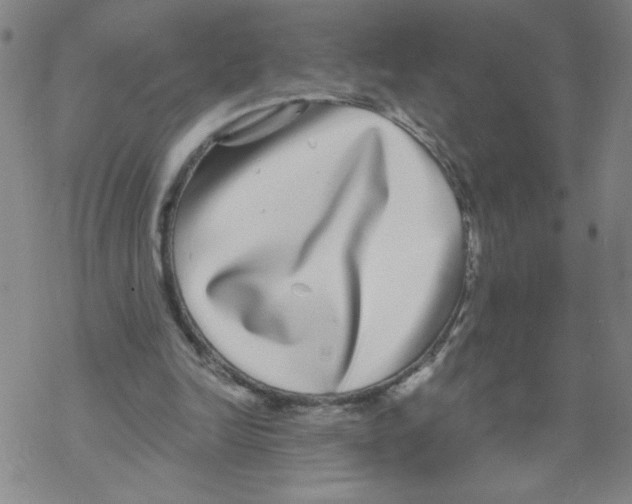 X0000067920246200605112015