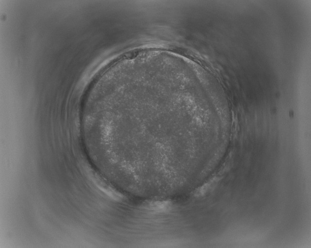 X0000067920247200605112015