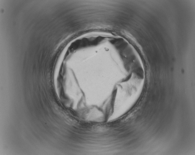 X0000067920249200605112016