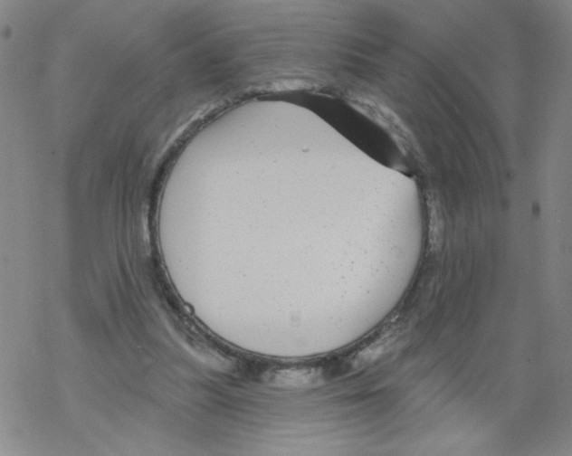 X0000067920251200605112016