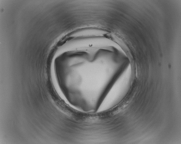 X0000067920252200605112016