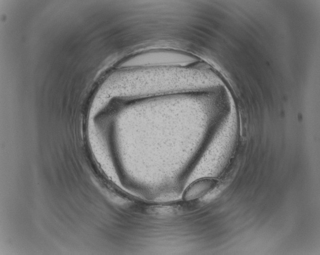 X0000067920253200605112016