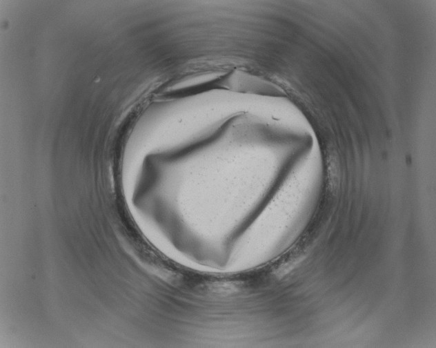 X0000067920254200605112016