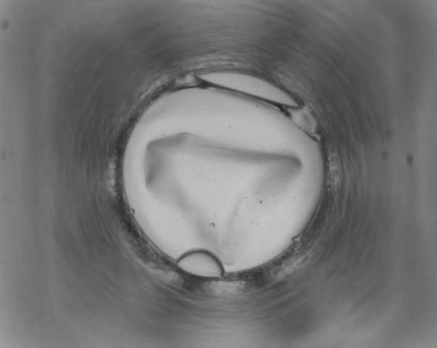 X0000067920255200605112016