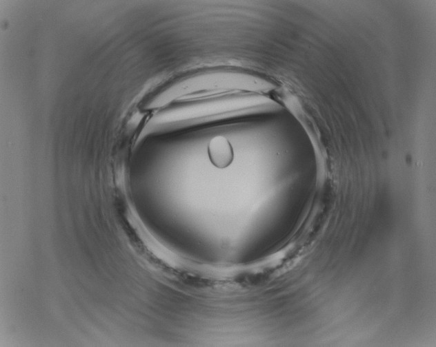 X0000067920256200605112016