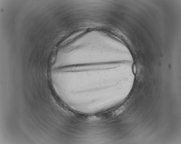 X0000067920257200605112016