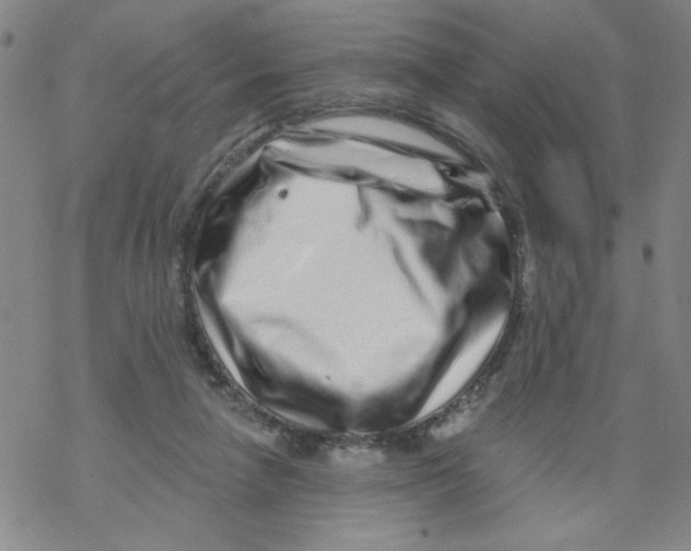 X0000067920258200605112016