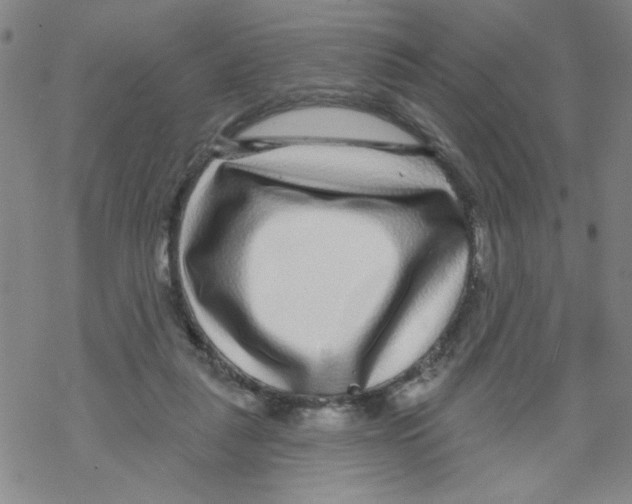 X0000067920259200605112016