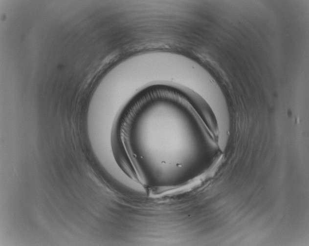 X0000067920260200605112016