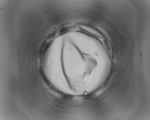 X0000067920261200605112016