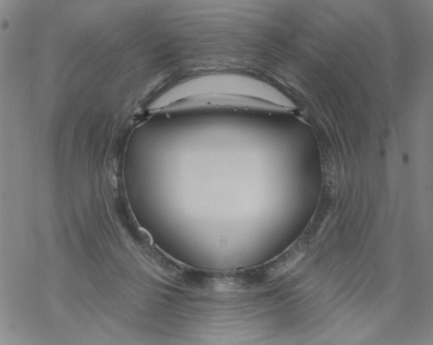 X0000067920264200605112016