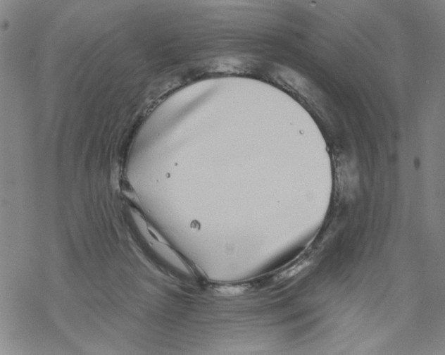 X0000067920265200605112016