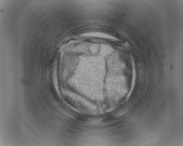 X0000067920266200605112016