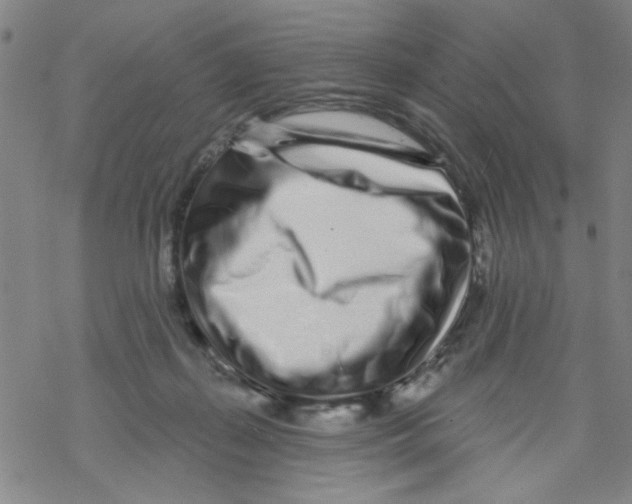 X0000067920267200605112016