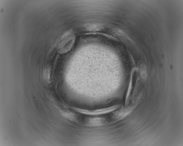 X0000067920268200605112016