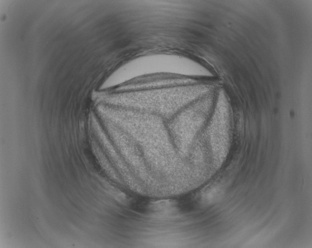 X0000067920269200605112016